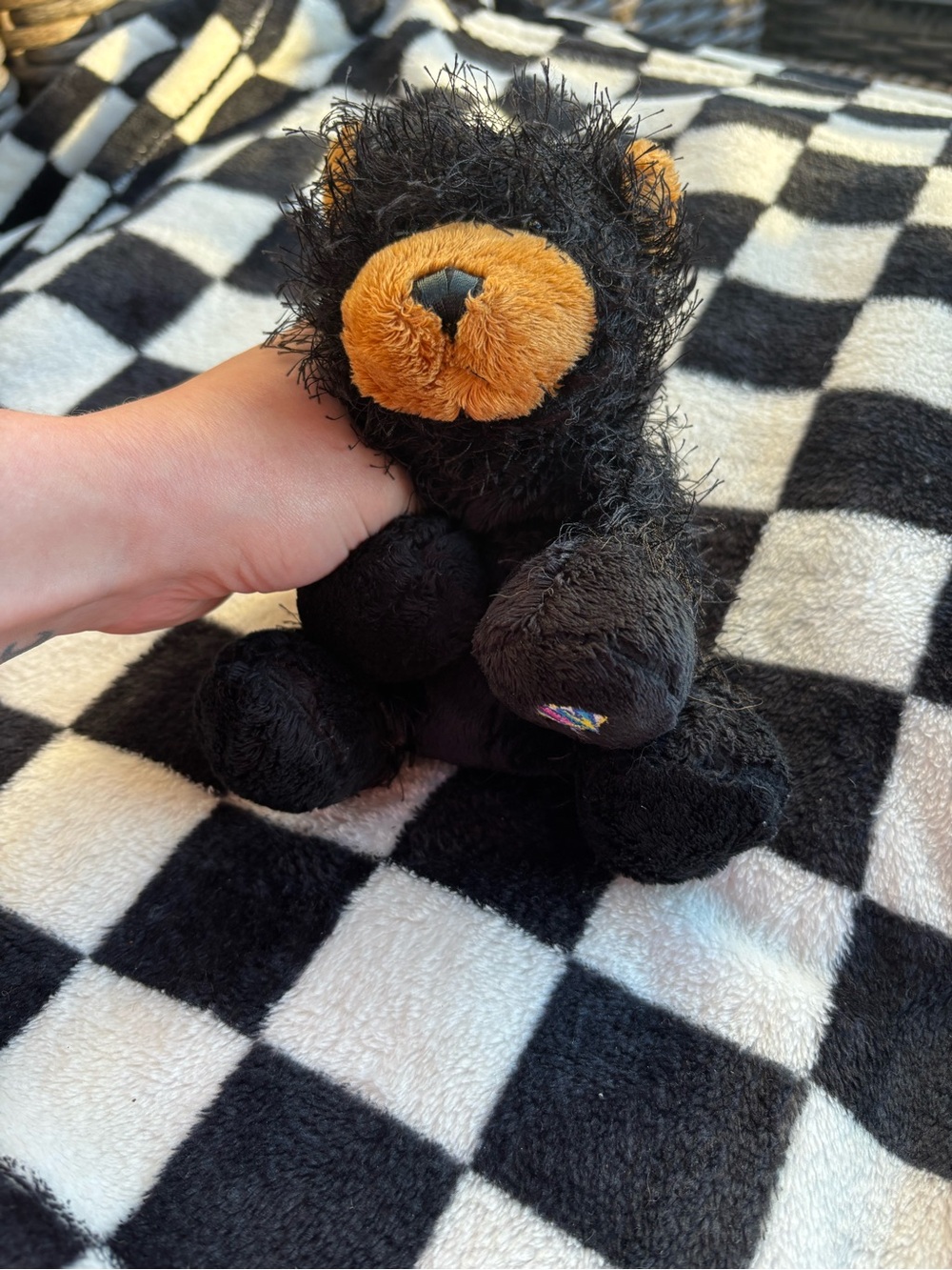 Ganz Webkinz Black Bear Plush - No Code